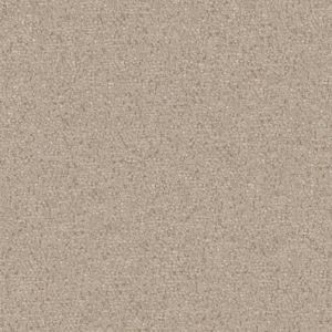 Plain Natural Chenille 2896355 Plain Natural Chenille 2896355