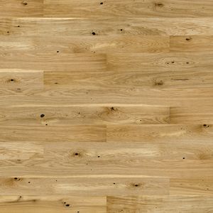 1WG000774_Dab_Raisins_Medio