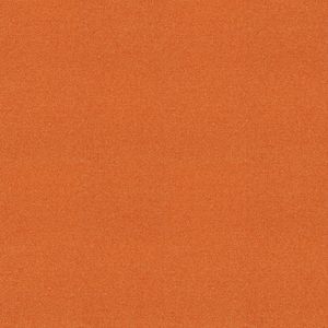 Tessera_Teviot_new_2015_-382_mandarin