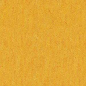 Marmoleum_Decibel_new_2019-322535_dandelion