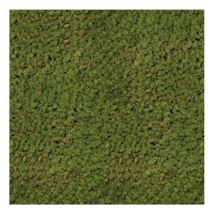 Panel 100x100 cm chrobotek-80 MEDIUM GREEN