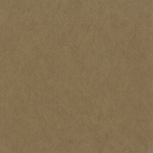 01B19 - Union Saturn