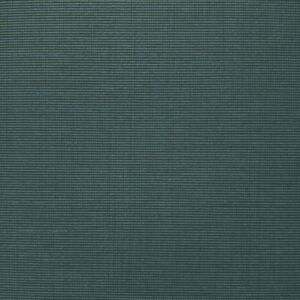 Muslin 13535-muslin-scan-scaled_productShow