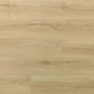 Amaron Wood EIR - DĄB PRINCETON