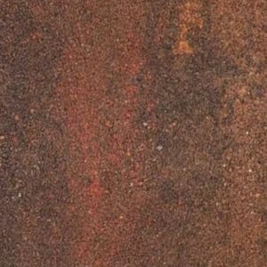 Fantasy Color bcq - NESTOR