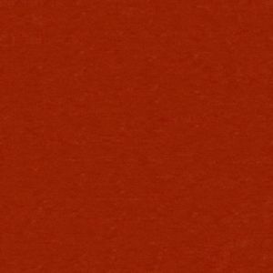 Plain Orange Velvet 2353618