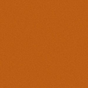 Plain Orange Flat 2898821