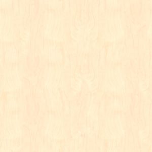  PM_brzoza polarna D-9420BS