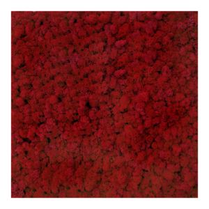 Panel 50x50 cm chrobotek-57 RED