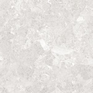Lunaria soft grey LUNARIA SOFT GREY 60x120 STARGRES (8)