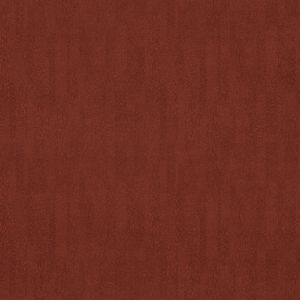 s482016/t382016 coral