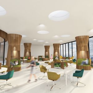 Biblioteka - Green Book