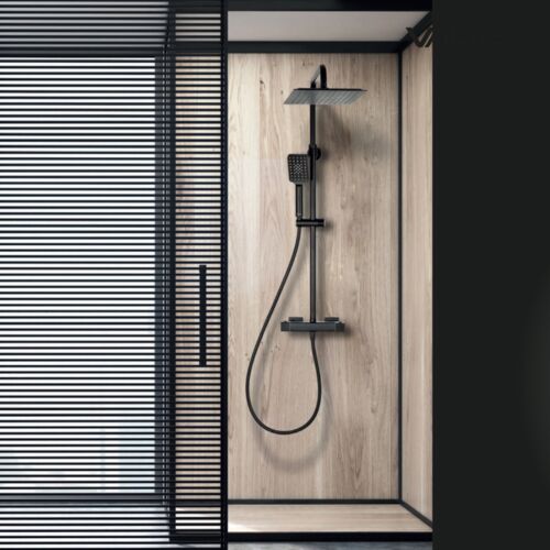Shower set