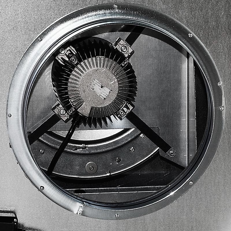 Aficionados, , Venture