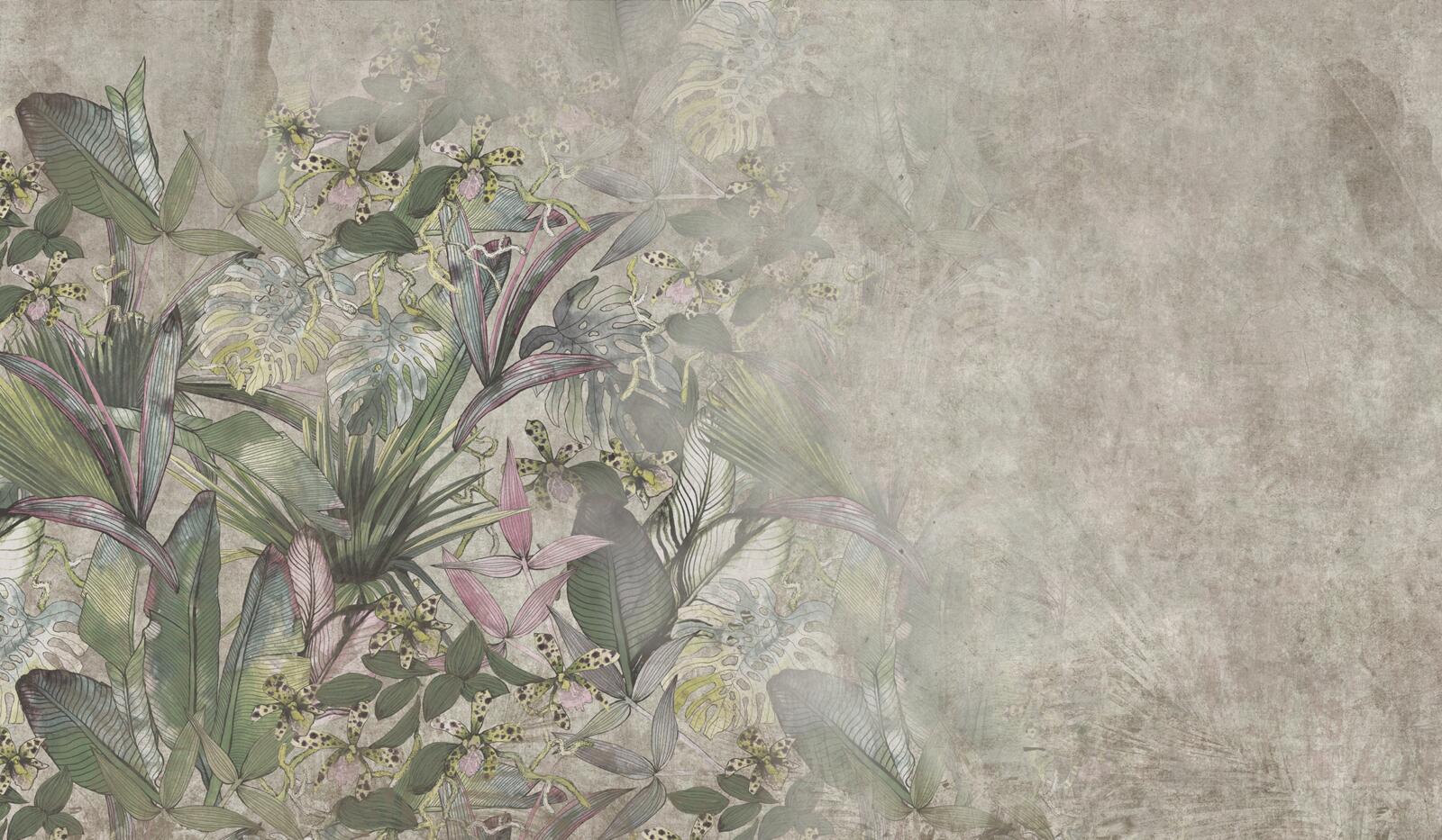Wallpapers, Nahla, Muraspec