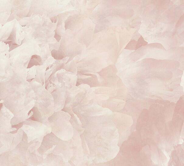 Wallpapers, Rosea, Muraspec