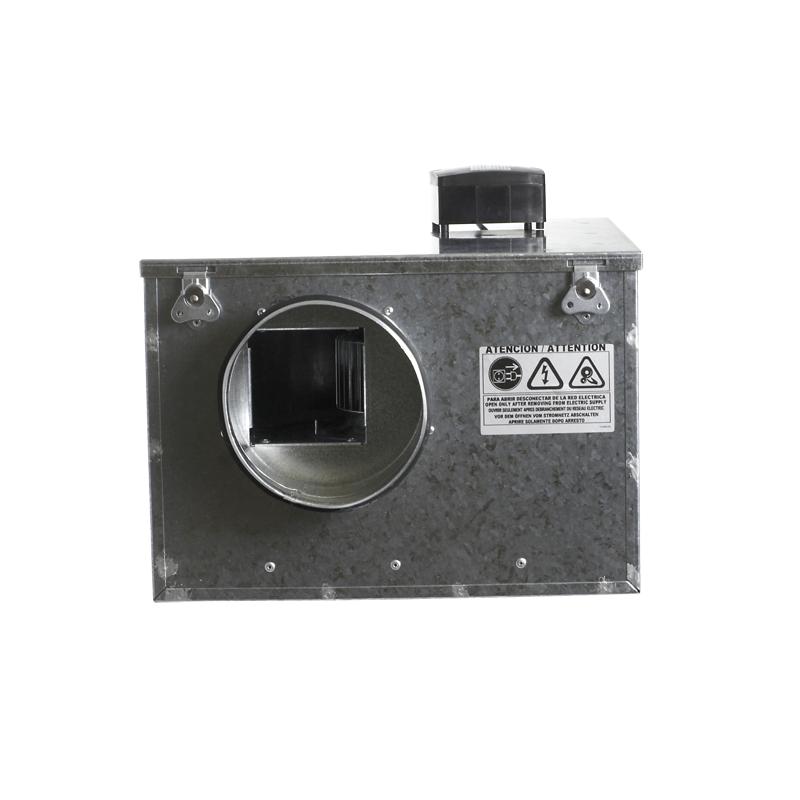 Aficionados, , Venture