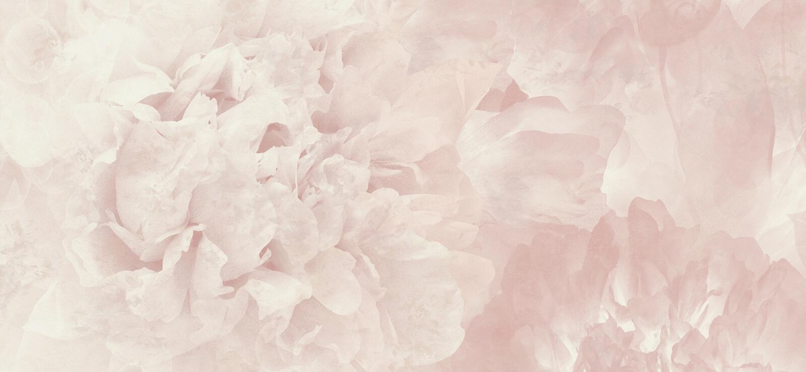 Wallpapers, Rosea, Muraspec