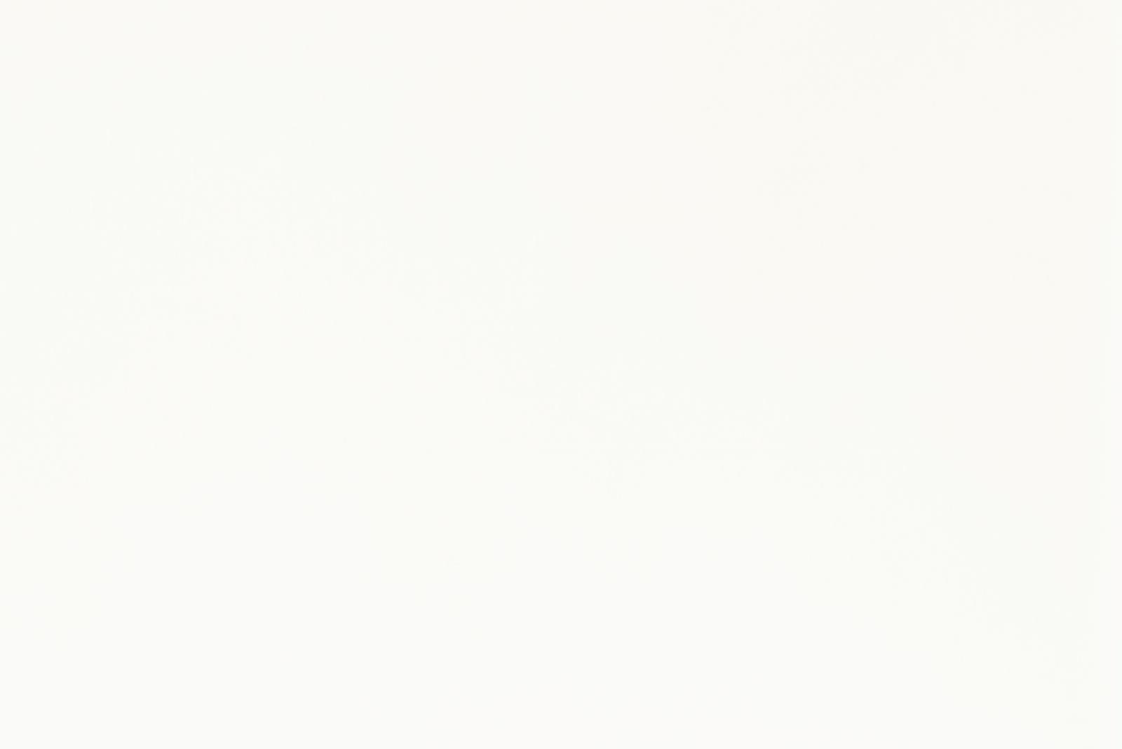 Elevation and Wall Stone Tile, , Dekores