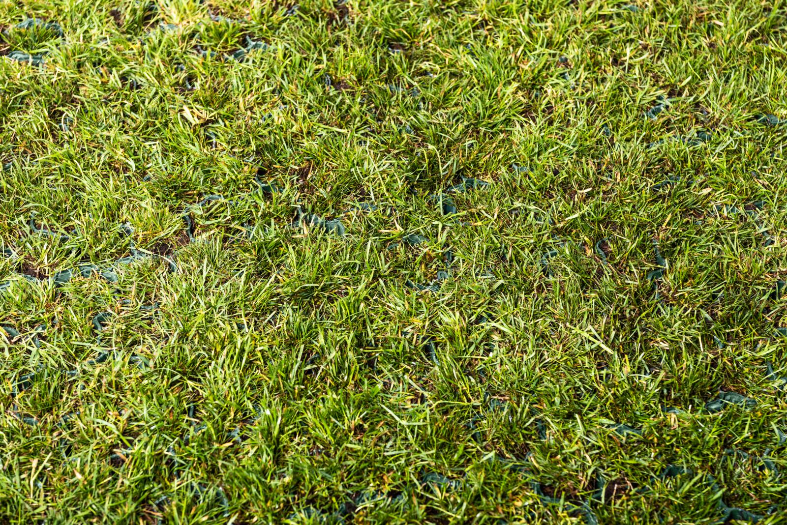 Lawn grille, INOVGREEN PARK IP30, TPP Thermoplastics Polska Sp. z o.o.