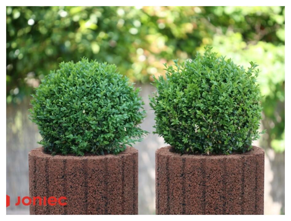 Blumentöpfe für draußen, Gartenpavillons, JONIEC