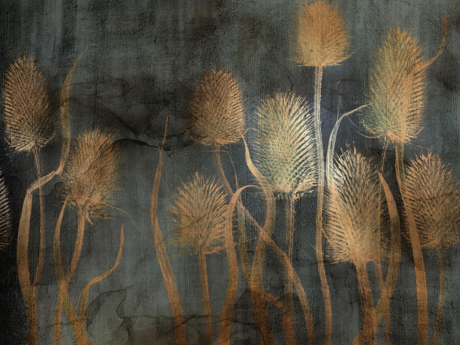 Wallpapers, Tenebri Wallpaper, Wallcraft