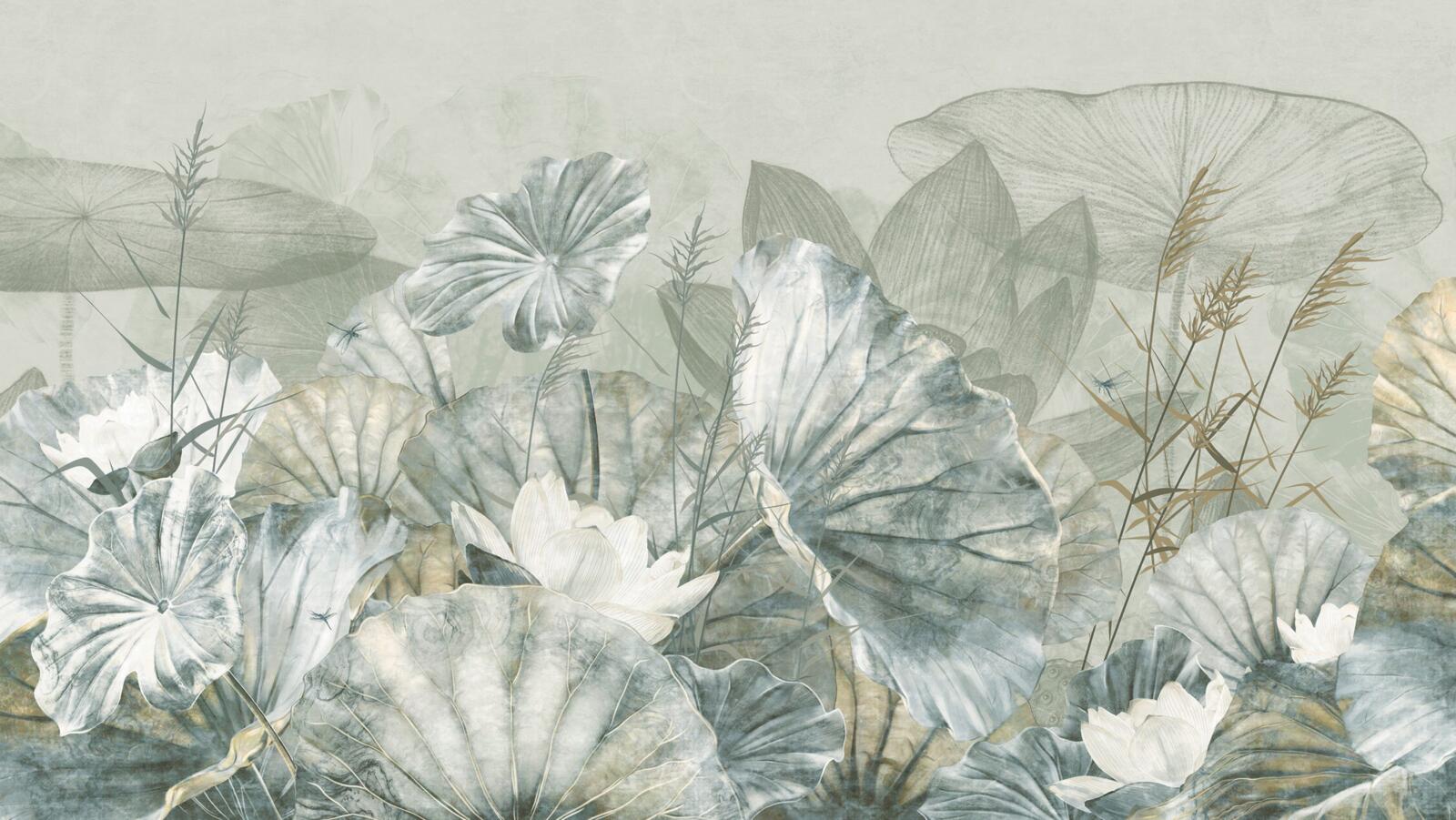 Wallpapers, Bloom, Muraspec