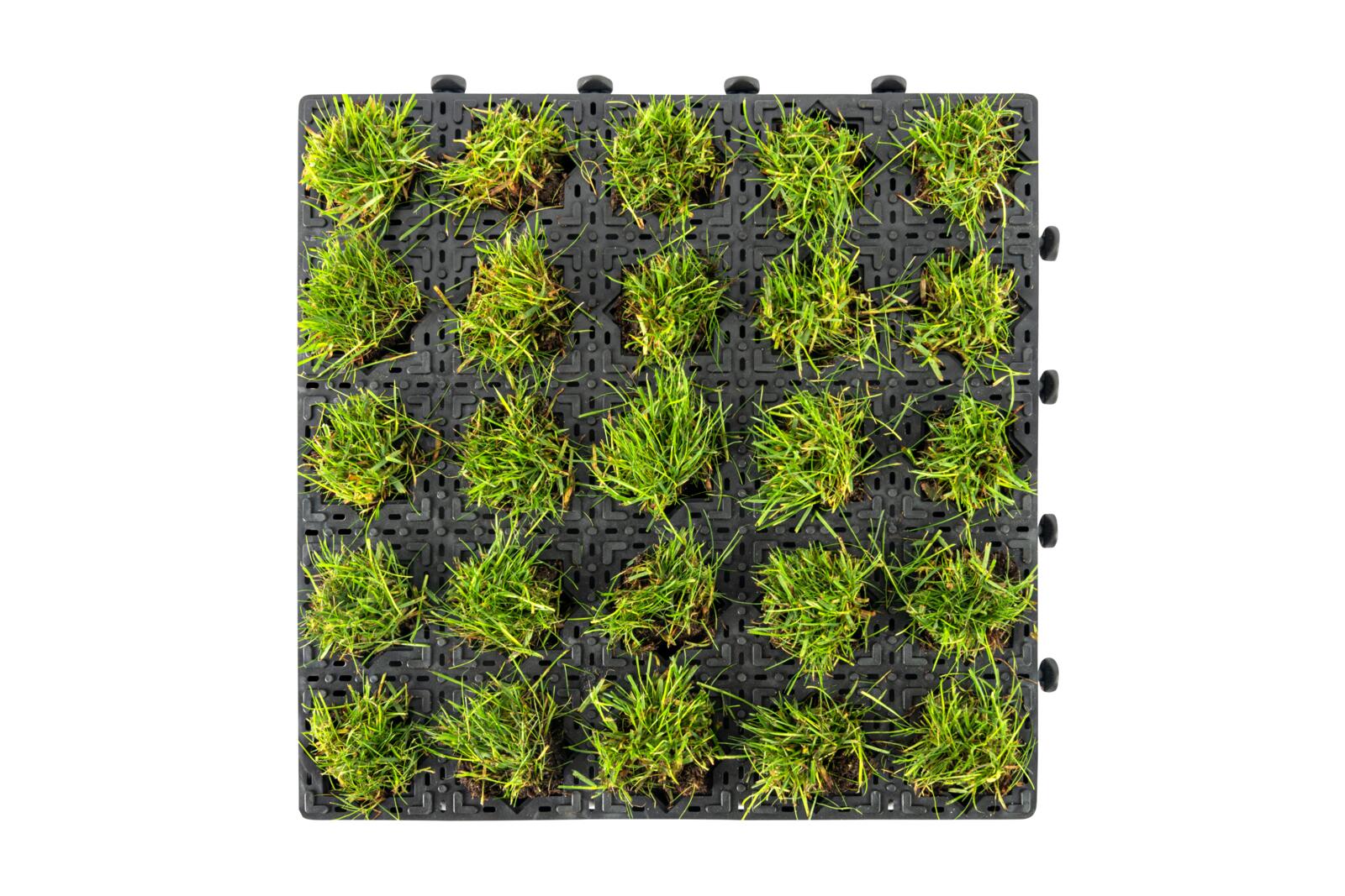 Lawn grille, INOVGREEN IR35, TPP Thermoplastics Polska Sp. z o.o.