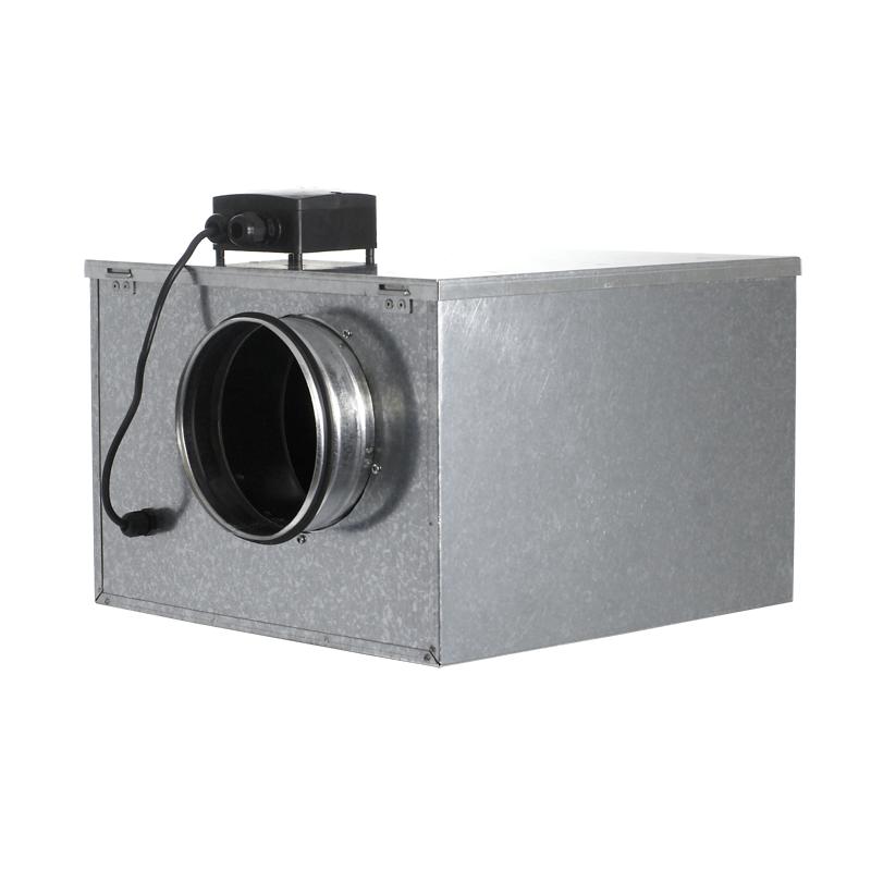 Aficionados, , Venture