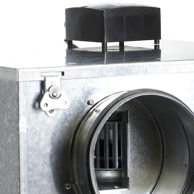 Aficionados, , Venture