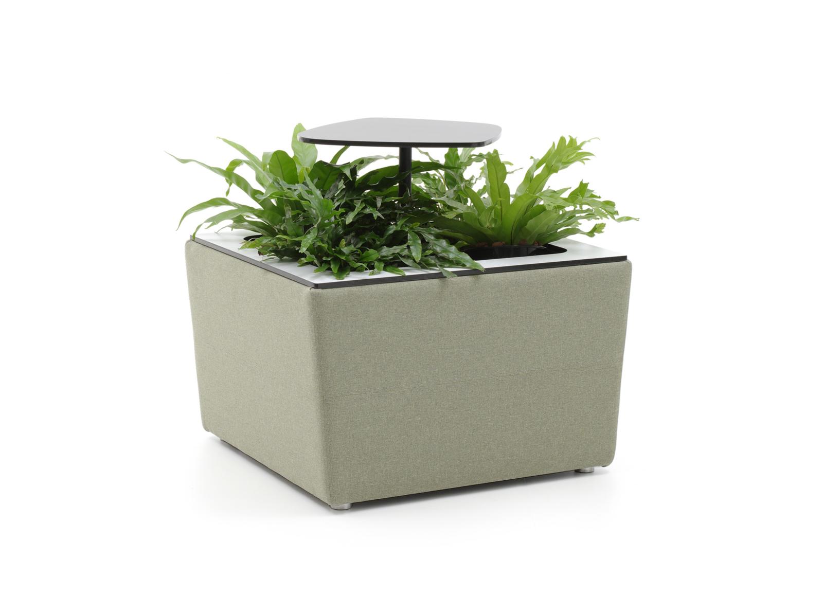 столик из кашпо. стильные цветы в горшках небольшие. столик для кашпо. подставка для цветов на подоконник металлическая. стол кашпо.