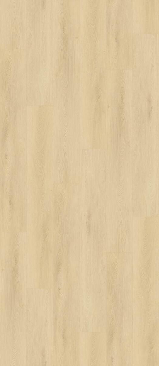 Laminate Flooring, , Premium Floor