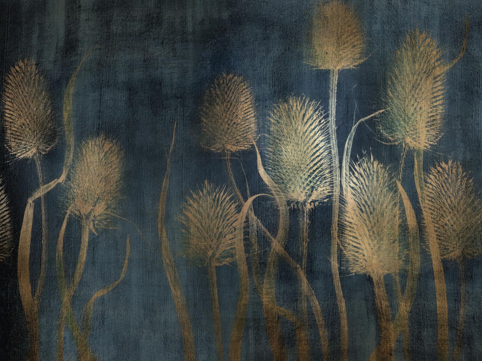 Wallpapers, Tenebri Wallpaper, Wallcraft