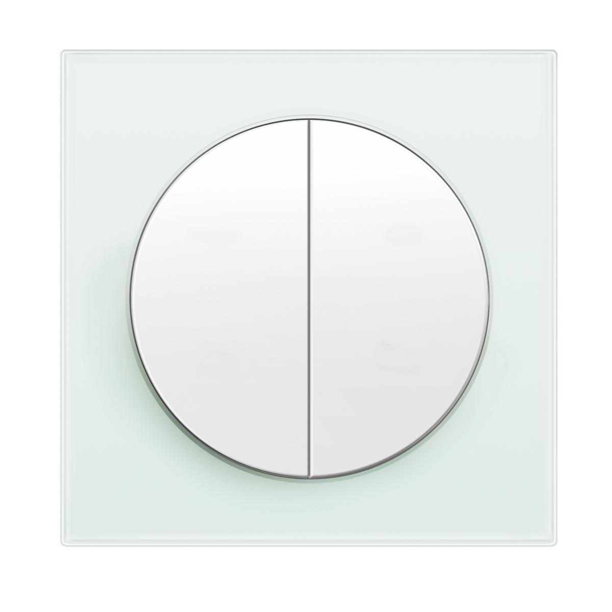 Łączniki elektryczne, Berker R.3 Łącznik 2-klawiszowy, Hager Polska sp. z o.o.