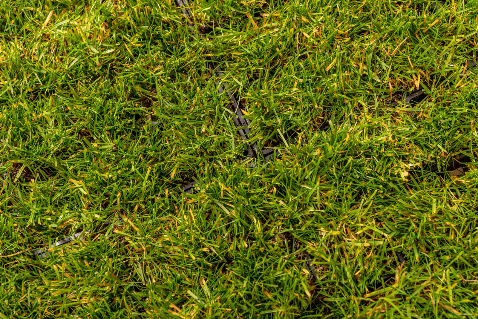 Lawn grille, INOVGREEN HL40, TPP Thermoplastics Polska Sp. z o.o.