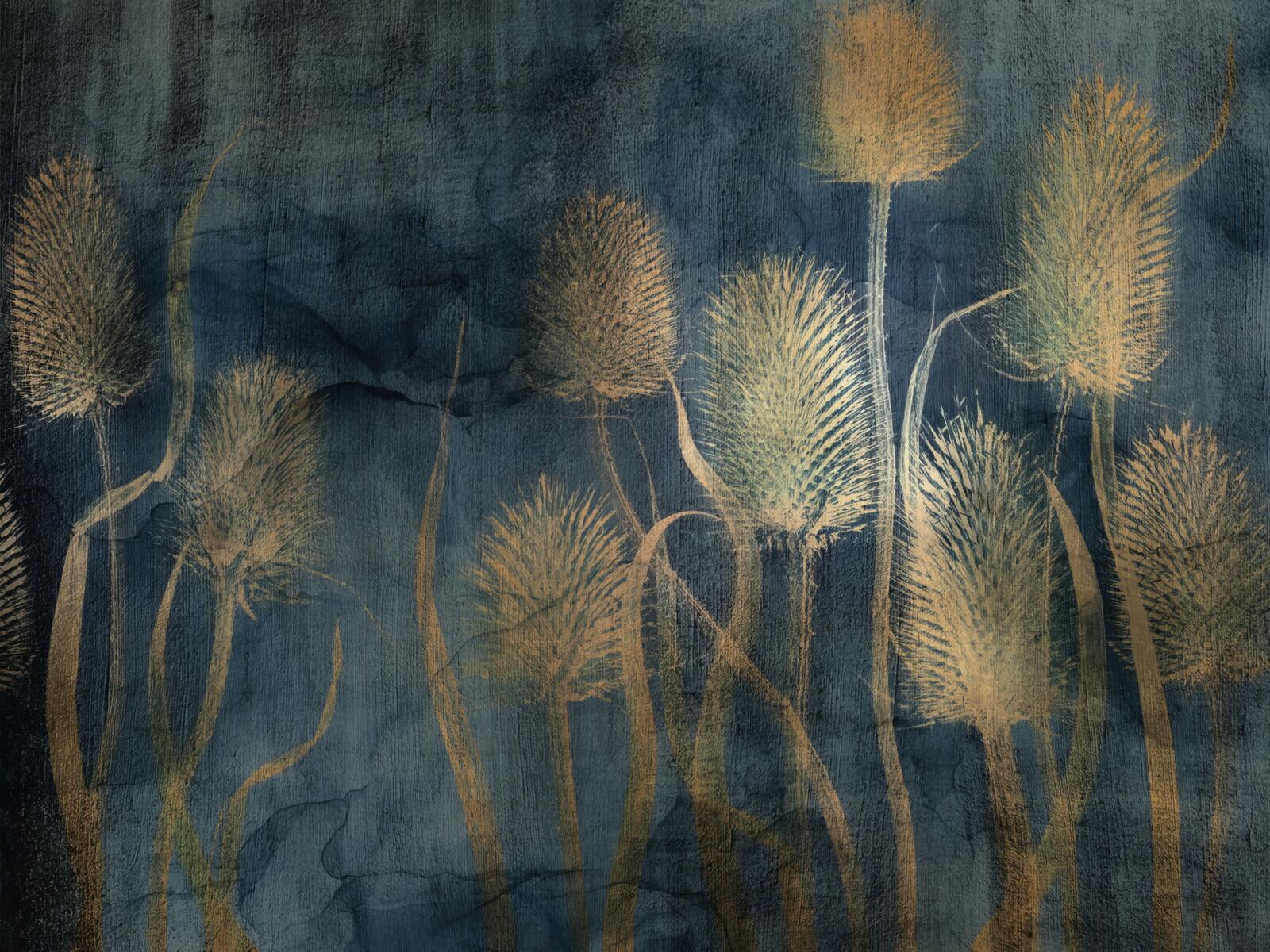 Wallpapers, Tenebri Wallpaper, Wallcraft