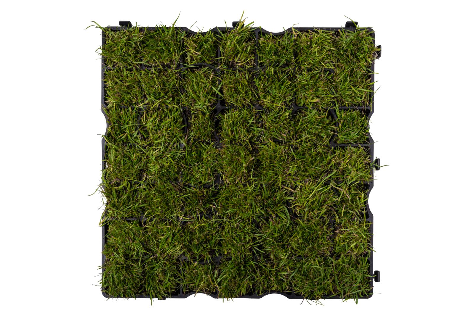 Lawn grille, INOVGREEN IG30, TPP Thermoplastics Polska Sp. z o.o.