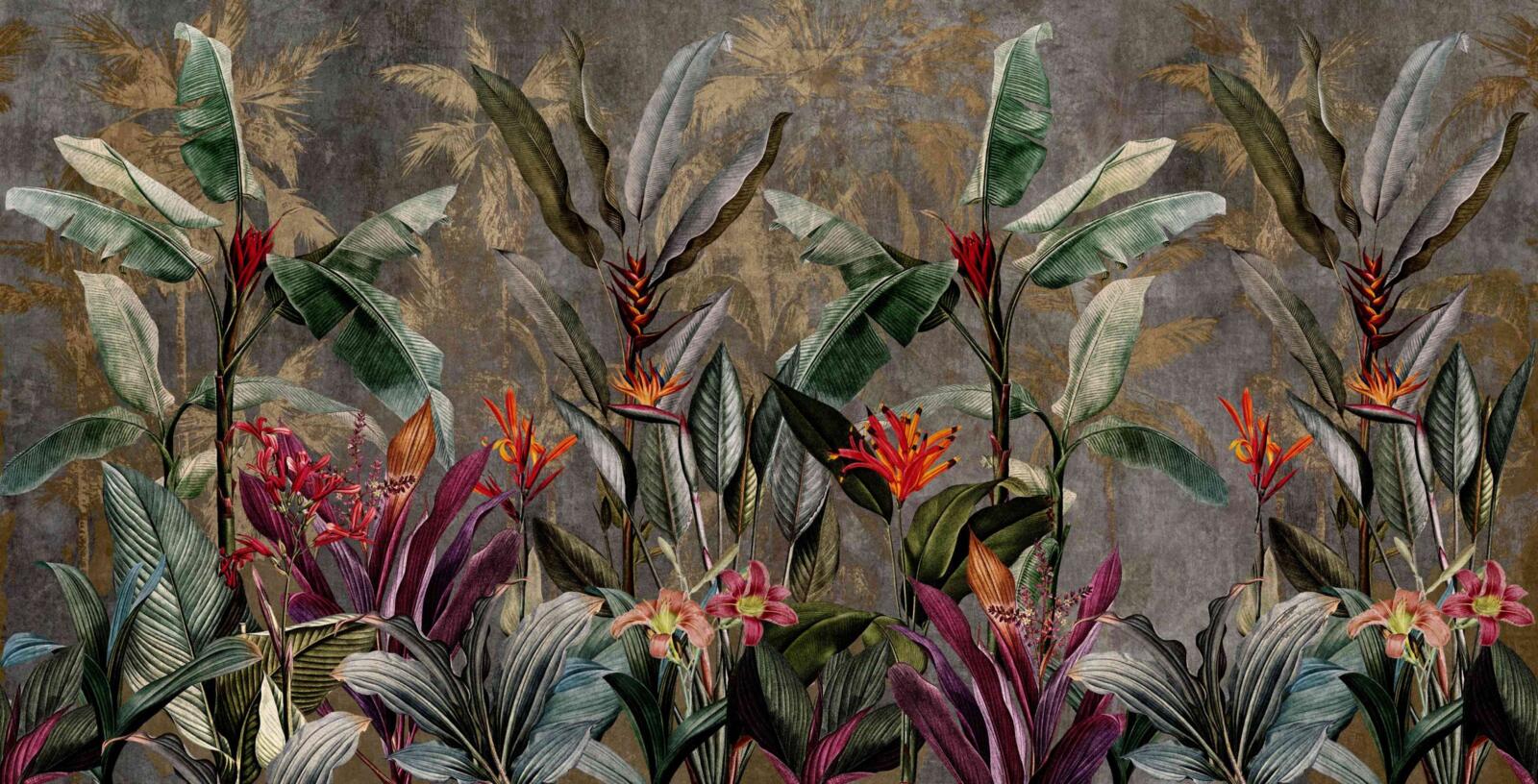 Wallpapers, Midnight Tropics, Muraspec