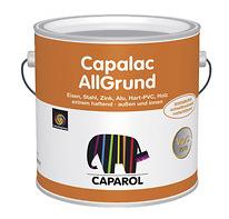 Undercoats and Primers, , CAPAROL