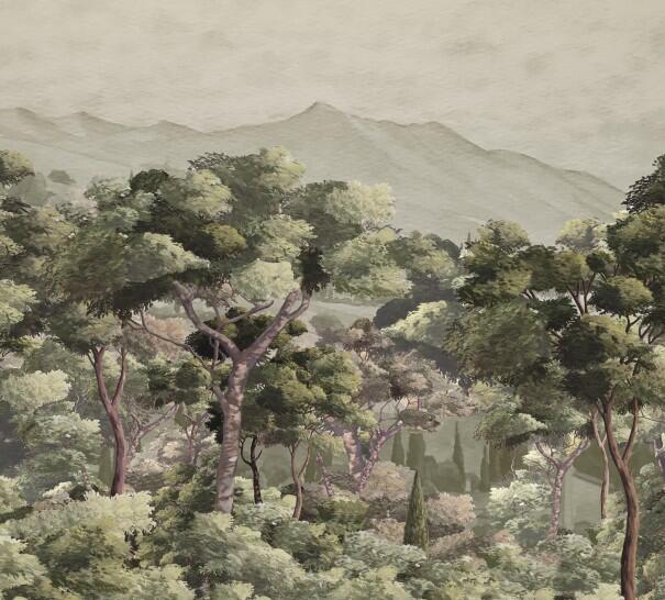 Wallpapers, Misted Forest, Muraspec
