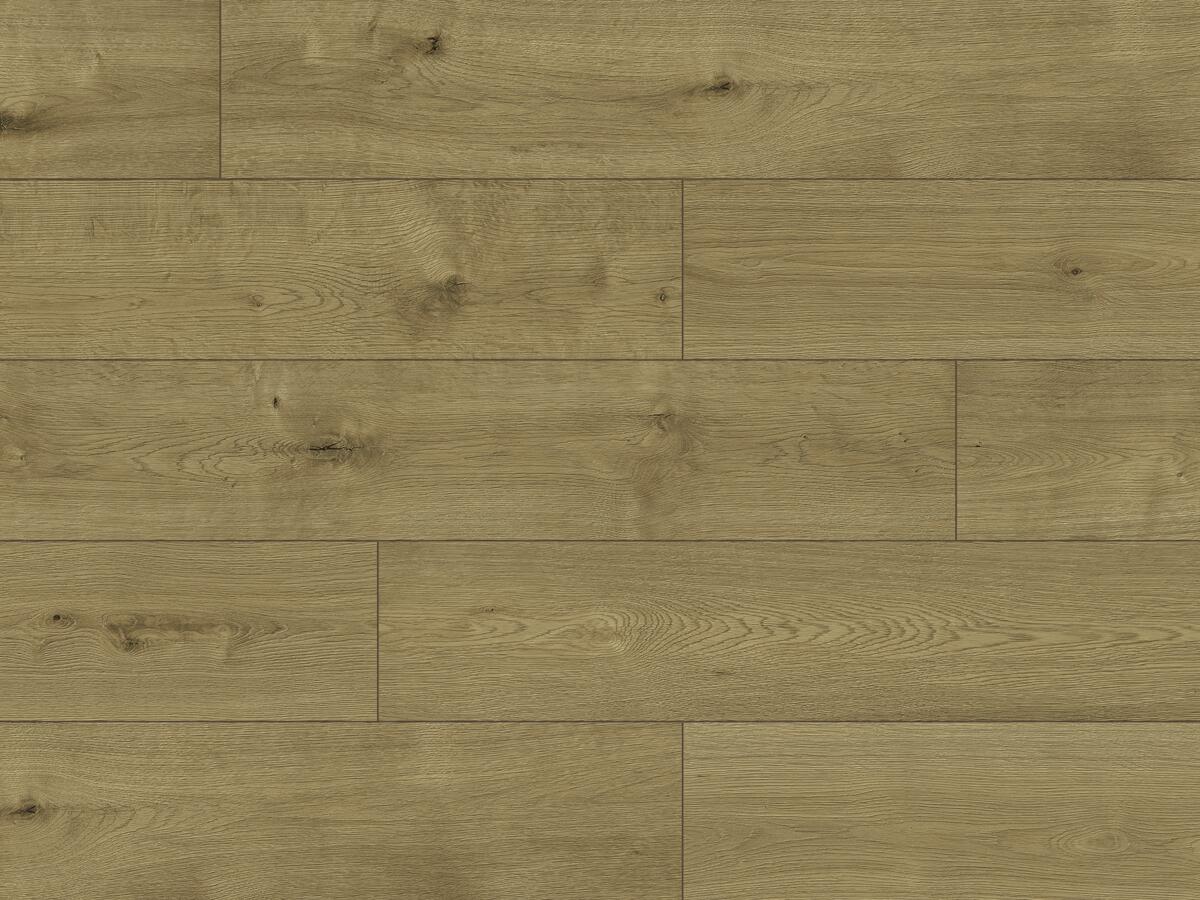 Laminate Flooring, PRO NATURE, Barrow, CLASSEN