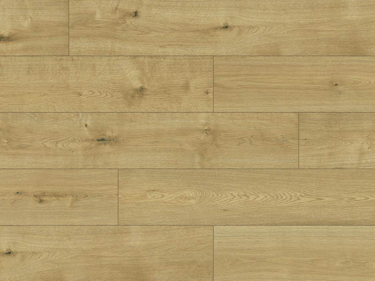 Laminate Flooring, PRO NATURE, Nore, CLASSEN