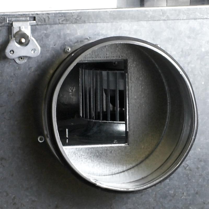 Aficionados, , Venture