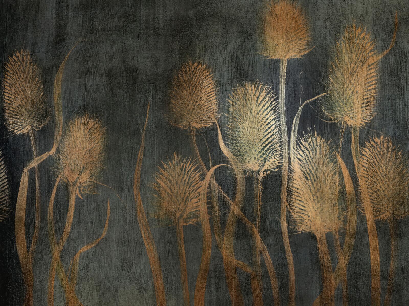 Wallpapers, Tenebri Wallpaper, Wallcraft
