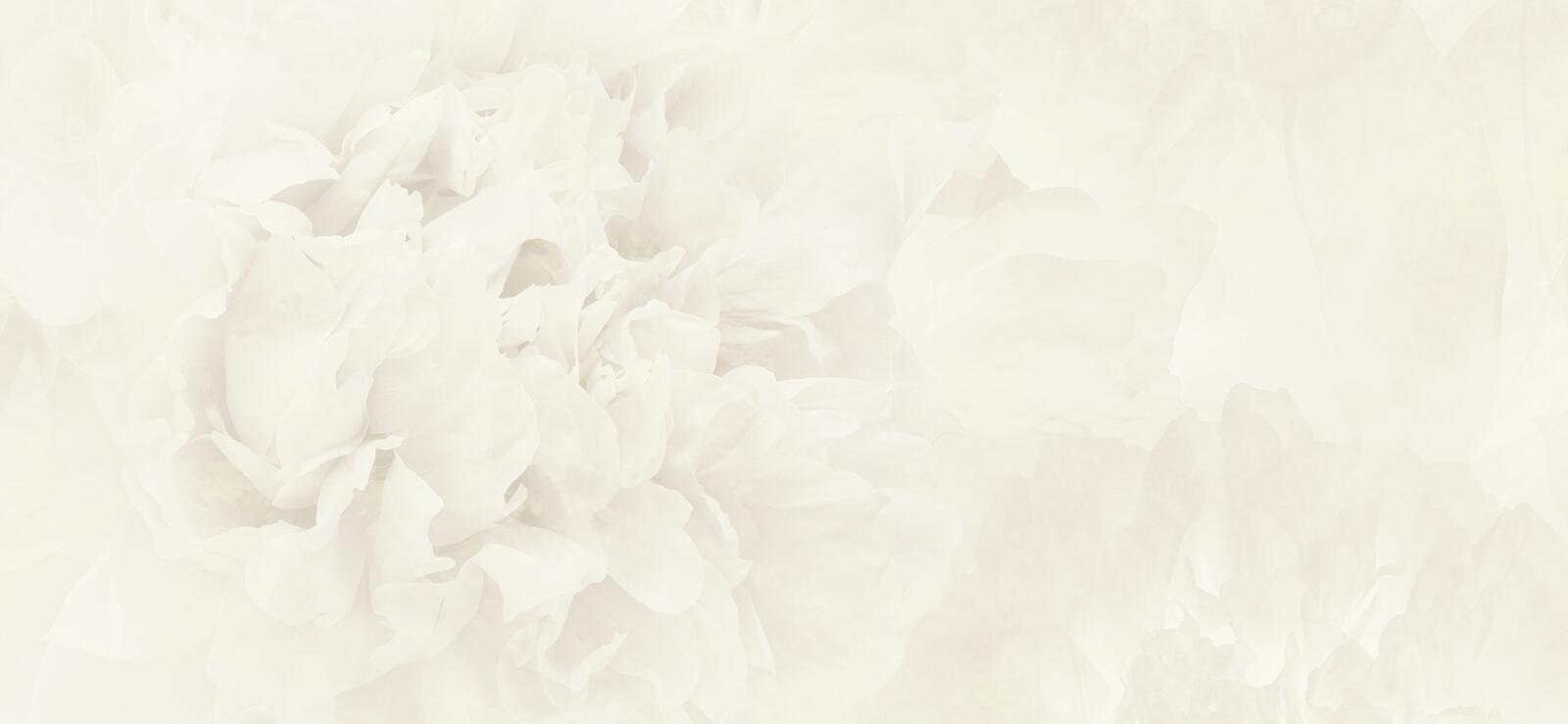 Wallpapers, Rosea, Muraspec