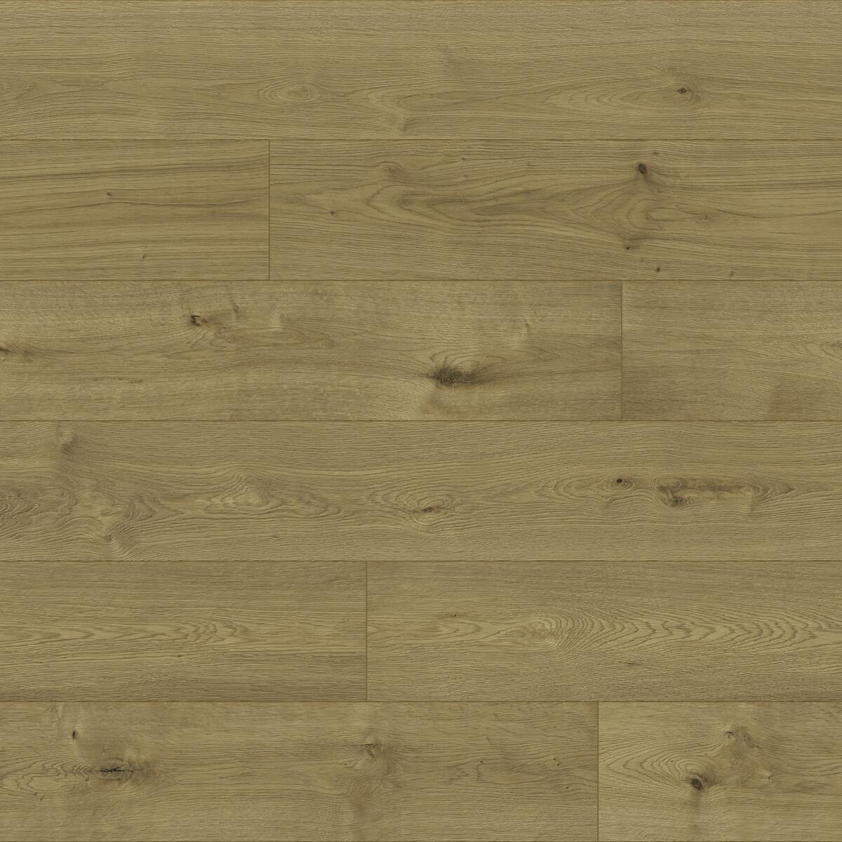 Laminate Flooring, PRO NATURE, Barrow, CLASSEN