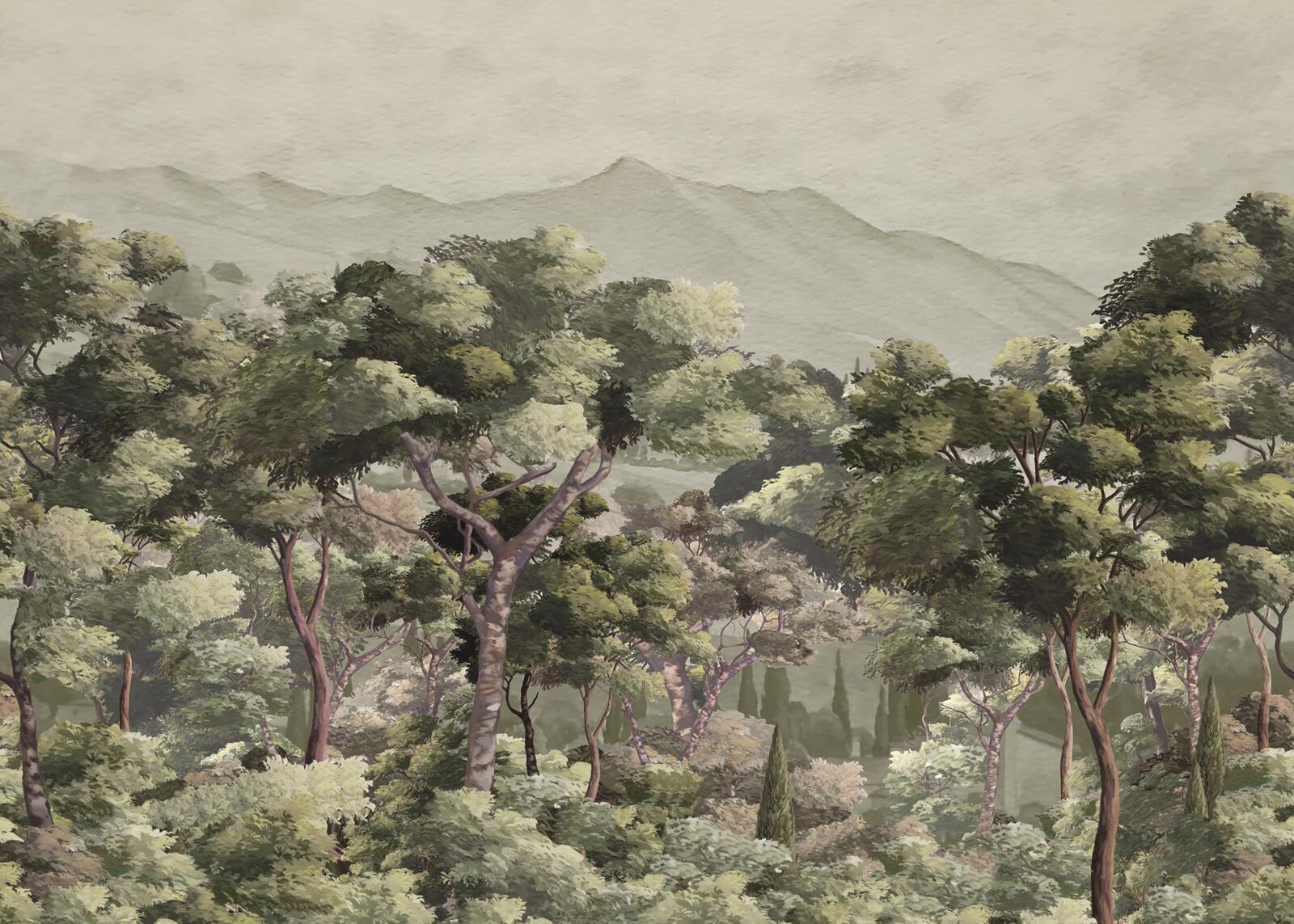 Wallpapers, Misted Forest, Muraspec