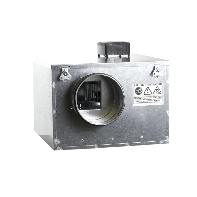 Aficionados, , Venture