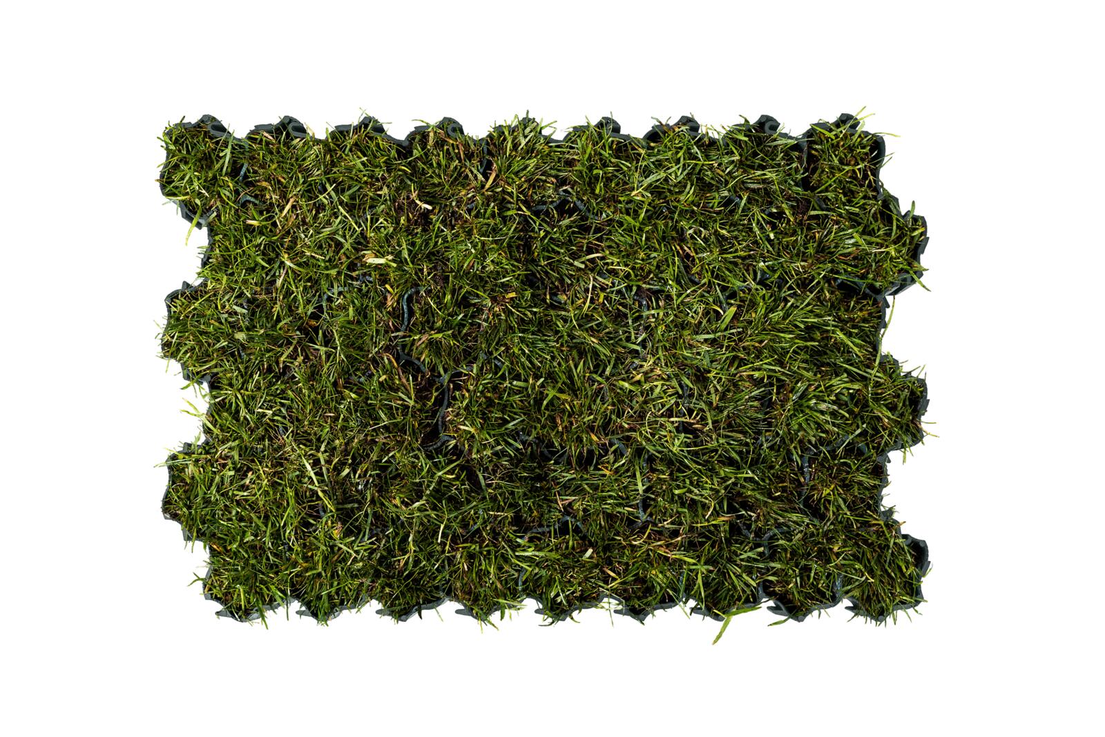 Lawn grille, INOVGREEN PARK IP40, TPP Thermoplastics Polska Sp. z o.o.