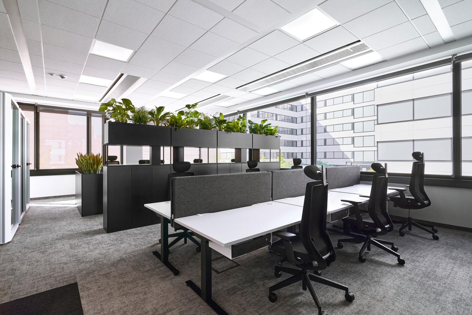 DSK Law firm